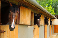 free Eastbourne stable construction quotes